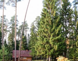 Санаторий "Оболсуново"